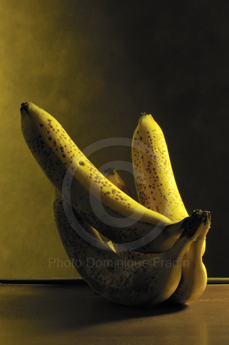 Bananes, 2010.